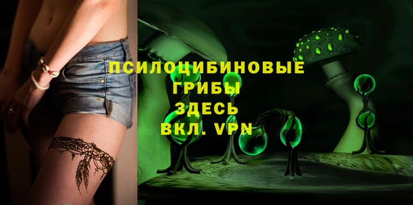 индика Армянск