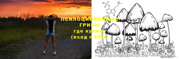 герыч Арсеньев